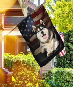 siberian husky american flag 2767