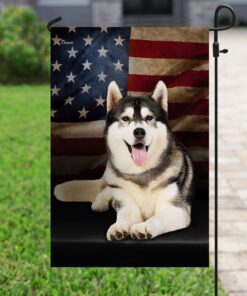 siberian husky american flag 2836