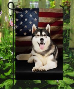 siberian husky american flag 4055