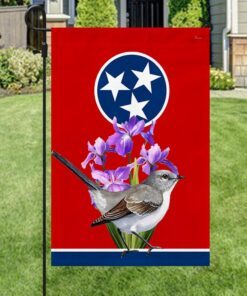 tennessee flag mockingbird and irises bnn694f 2606