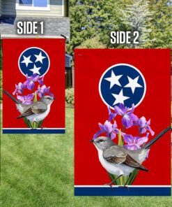 tennessee flag mockingbird and irises bnn694f 3827