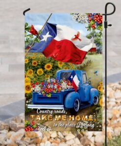 texas country roads flag 7741