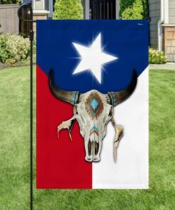 texas flag skull lnt278f 5135