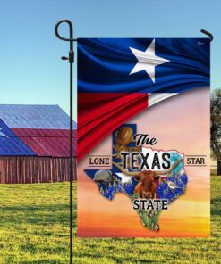 texas flag the lone star state bnn600fv1 2016