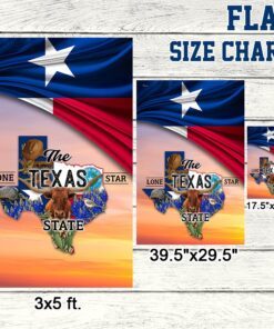 texas flag the lone star state bnn600fv1 2427