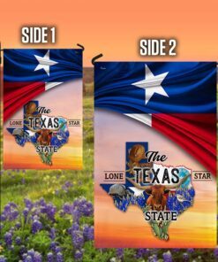 texas flag the lone star state bnn600fv1 4296