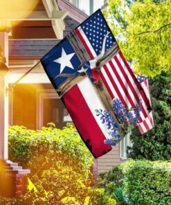 texas longhorns american flag anl119f 2954