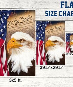 we the people. patriotic eagle american flag tpt926f 3119