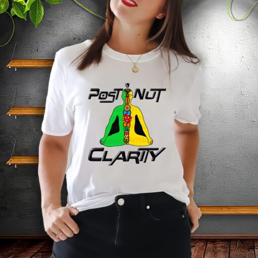 Post Nut Clarity shirt, Post Nut Clarity T-shirt, Trending Shirt, Post Nut Clarity, Sweatshir, Unisex Shirt