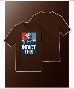 Trump 2024 Indict This T-Shirts