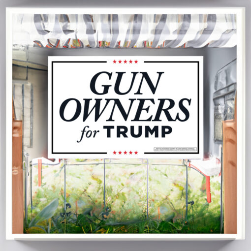 Gun Owners for Trump Yard Sign