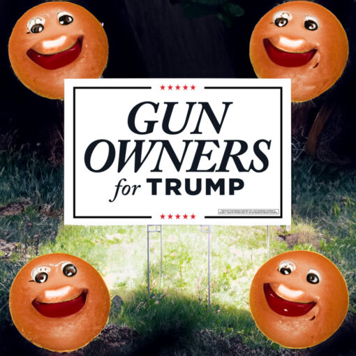 Gun Owners for Trump Yard Signs