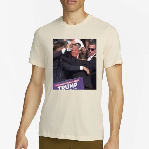 Donald Trump T-Shirt 2024 - T-Shirt Trump Never give up1