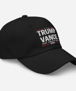 Trump Vance Hat, Trump Vance 2024 Dad Hat, Take America Back Election Day Cap, Make America Great Again on Back, Voting Day Hat