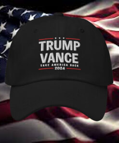 Trump Vance Hat, Trump Vance 2024 Dad Hat, Take America Back Election Day Cap, Make America Great Again on Back, Voting Day Hat6